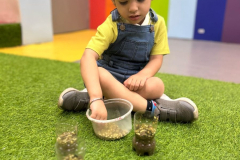 WhatsApp-Image-2025-05-24-at-12.19.57-PM