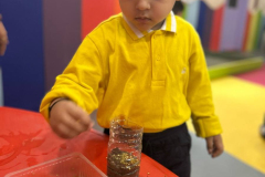 WhatsApp-Image-2025-05-24-at-12.19.58-PM