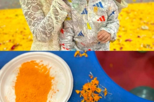 Holi Celebration 2025